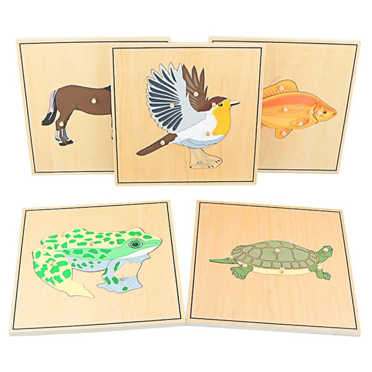Children's Educational Montessori Biology Wooden Skeleton Puzzle Set - Frog, Horse, Tortoise, Fish, Bird Animal Toys for Boys