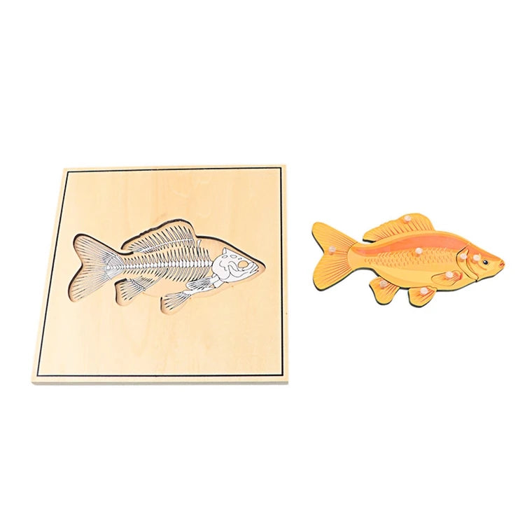 Children's Educational Montessori Biology Wooden Skeleton Puzzle Set - Frog, Horse, Tortoise, Fish, Bird Animal Toys for Boys