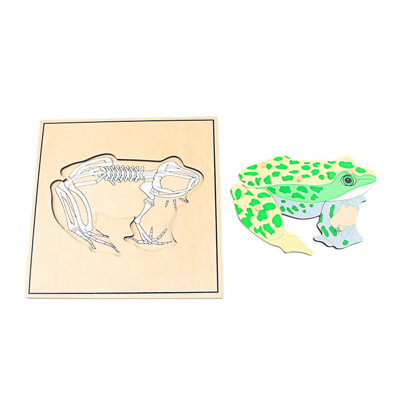 Children's Educational Montessori Biology Wooden Skeleton Puzzle Set - Frog, Horse, Tortoise, Fish, Bird Animal Toys for Boys