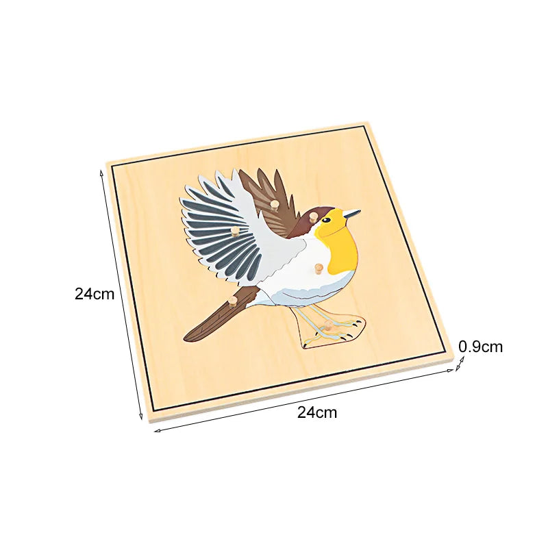 Children's Educational Montessori Biology Wooden Skeleton Puzzle Set - Frog, Horse, Tortoise, Fish, Bird Animal Toys for Boys