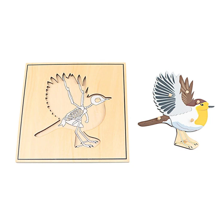 Children's Educational Montessori Biology Wooden Skeleton Puzzle Set - Frog, Horse, Tortoise, Fish, Bird Animal Toys for Boys