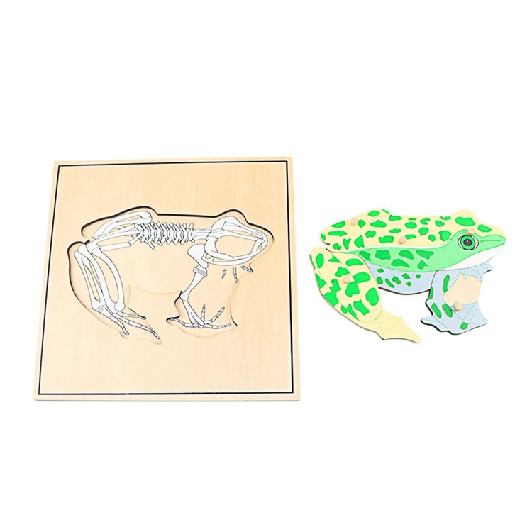 Children's Educational Montessori Biology Wooden Skeleton Puzzle Set - Frog, Horse, Tortoise, Fish, Bird Animal Toys for Boys