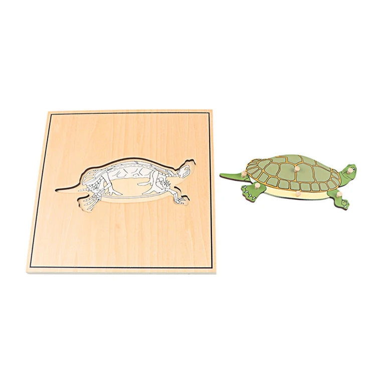 Children's Educational Montessori Biology Wooden Skeleton Puzzle Set - Frog, Horse, Tortoise, Fish, Bird Animal Toys for Boys