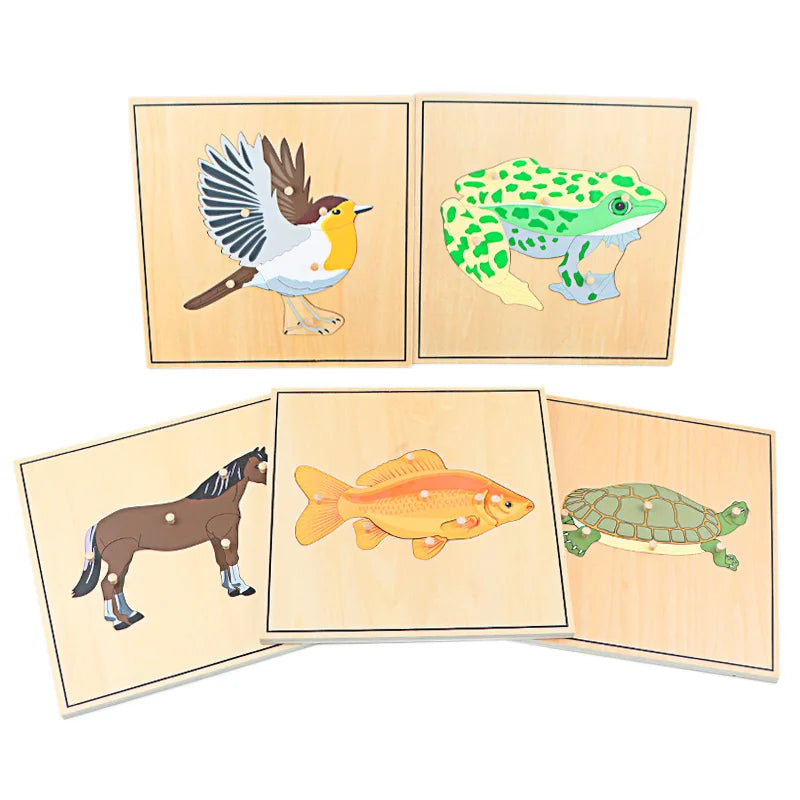 Children's Educational Montessori Biology Wooden Skeleton Puzzle Set - Frog, Horse, Tortoise, Fish, Bird Animal Toys for Boys
