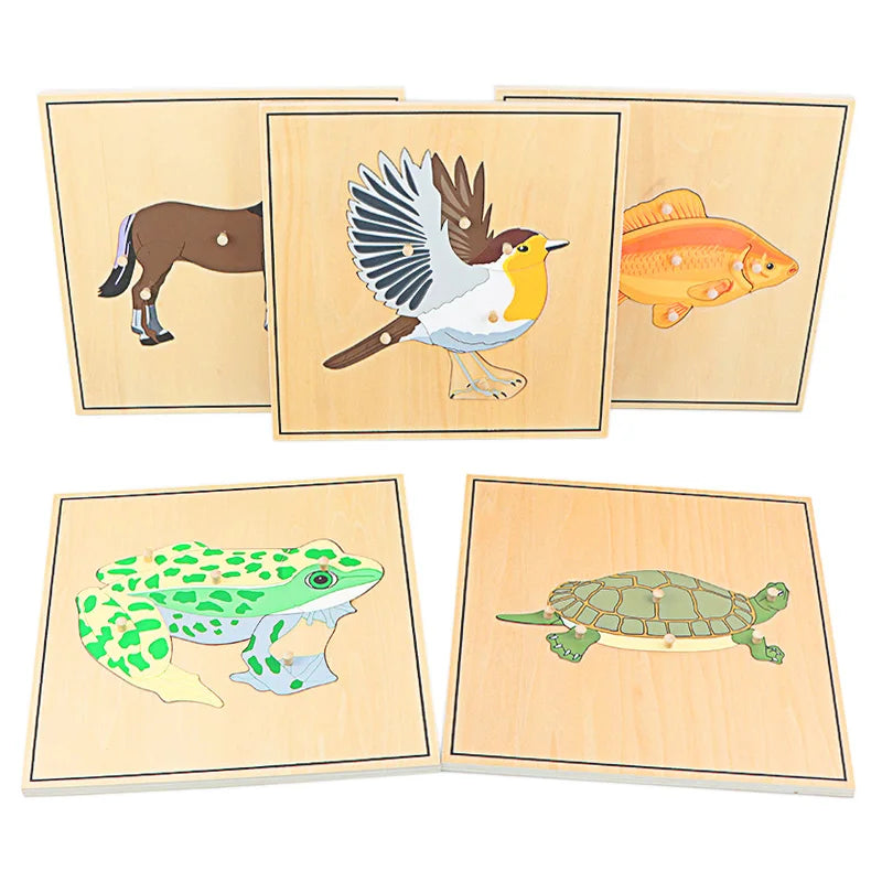 Children's Educational Montessori Biology Wooden Skeleton Puzzle Set - Frog, Horse, Tortoise, Fish, Bird Animal Toys for Boys