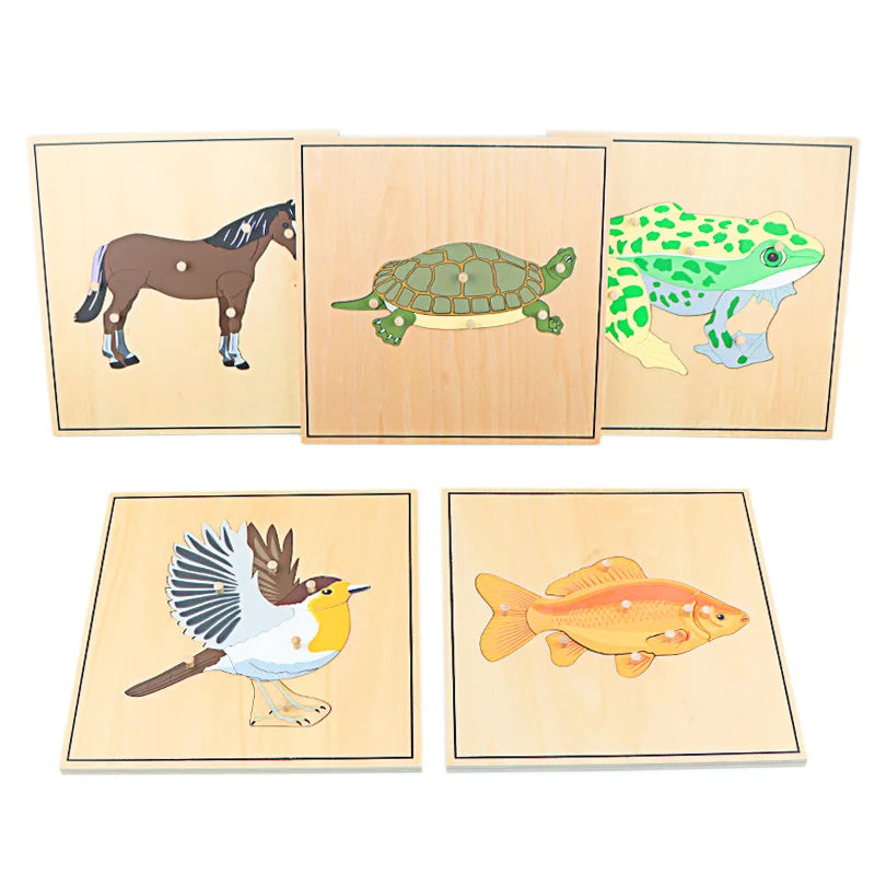 Children's Educational Montessori Biology Wooden Skeleton Puzzle Set - Frog, Horse, Tortoise, Fish, Bird Animal Toys for Boys