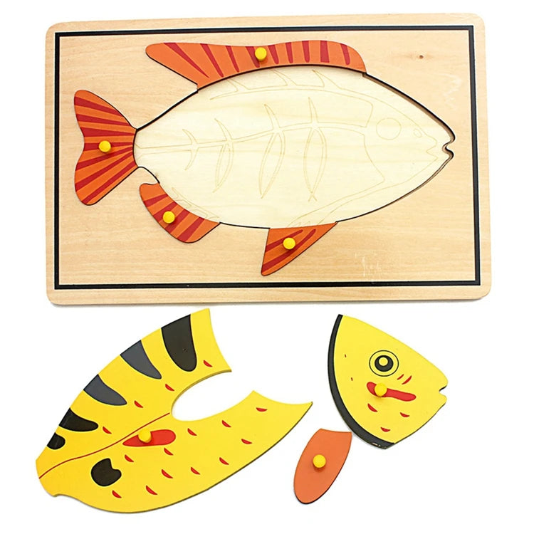 Children's Educational Montessori Biology Wooden Skeleton Puzzle Set - Frog, Horse, Tortoise, Fish, Bird Animal Toys for Boys