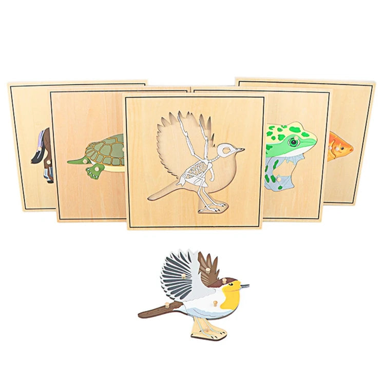 Children's Educational Montessori Biology Wooden Skeleton Puzzle Set - Frog, Horse, Tortoise, Fish, Bird Animal Toys for Boys