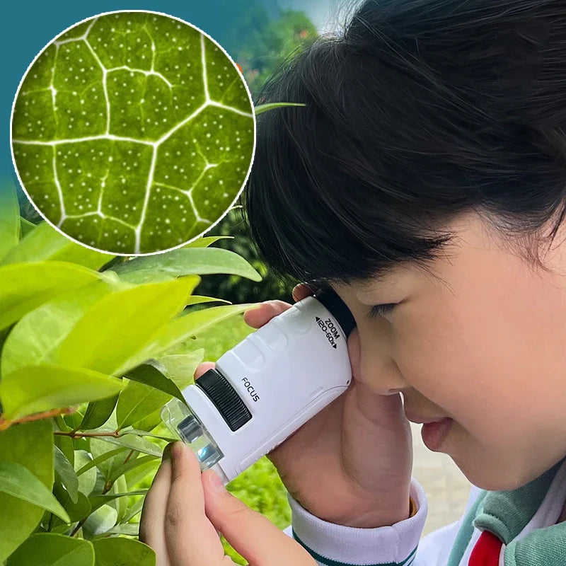 HD Student Science Microscope with Phone Adapter & Wireless LED | STEM Educational Tool for Teens & Home Biology Lab