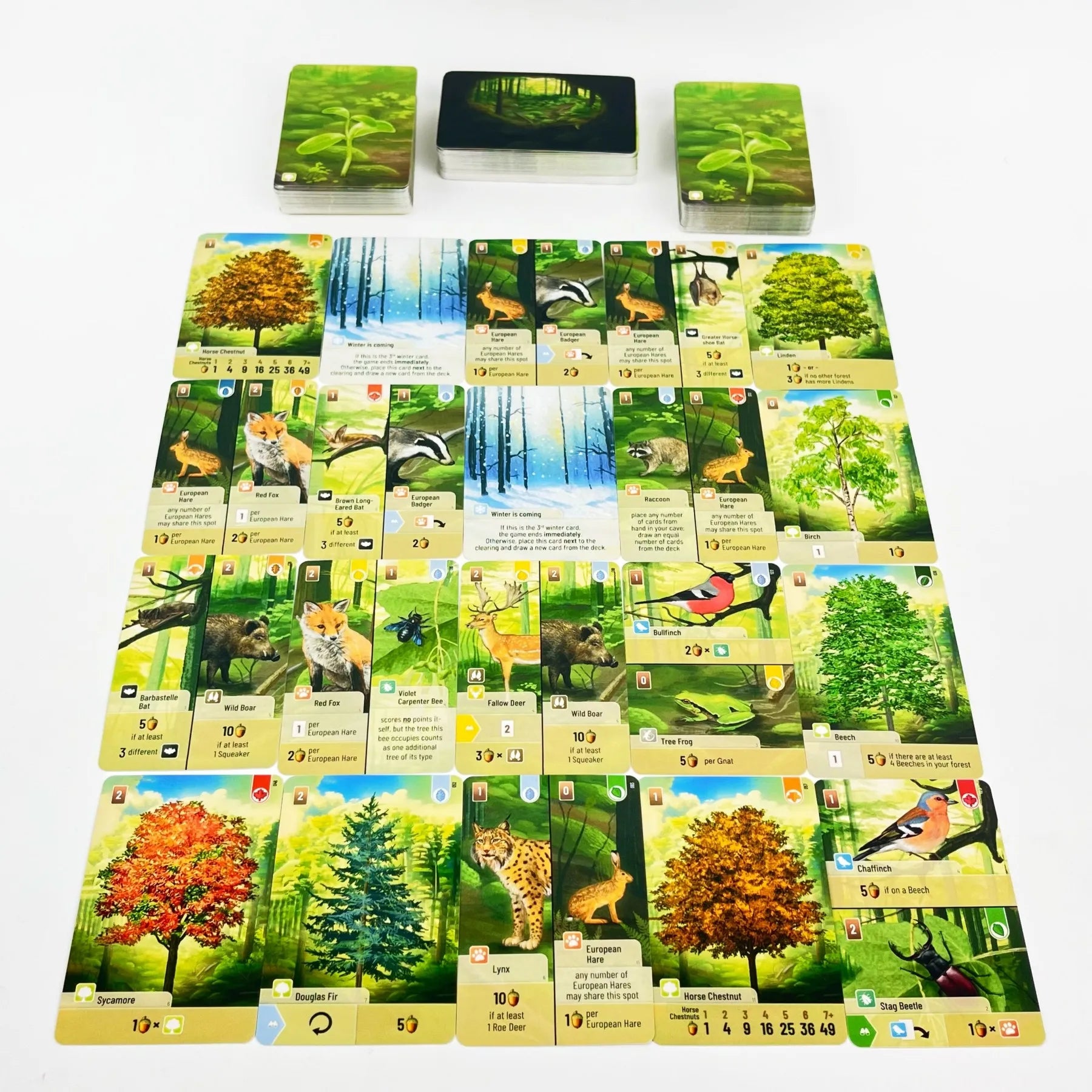 Forest Shuffle Card Game - Strategic Fun for Kids and Adults, 2-5 Players, 60 Minutes of Engaging Play