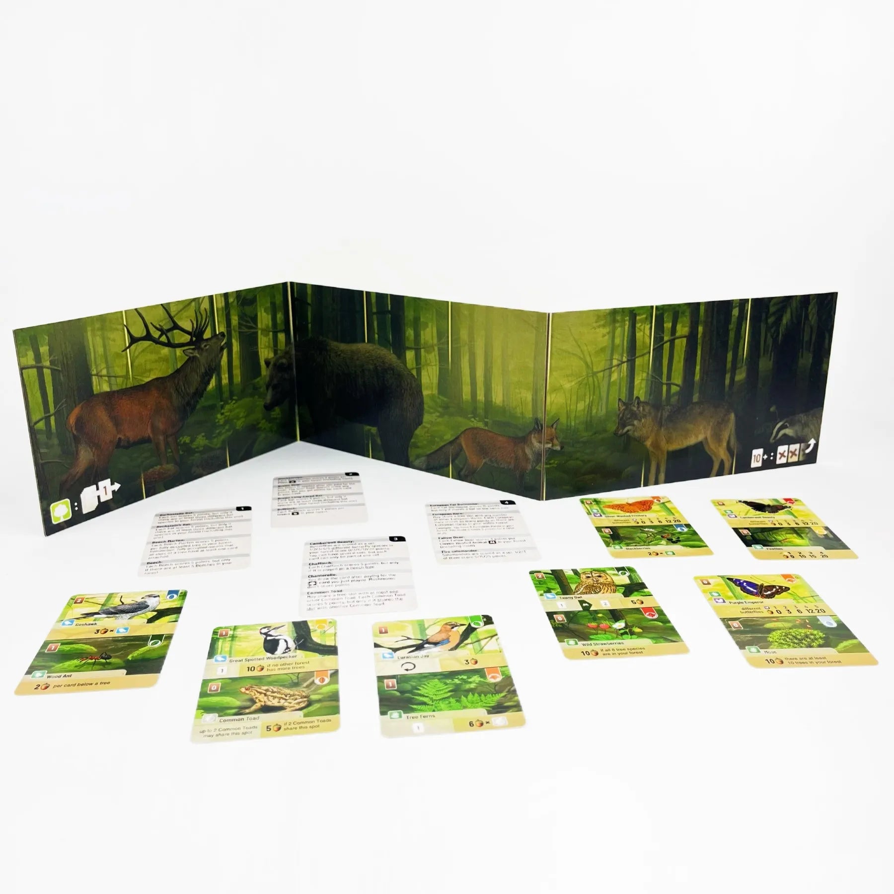 Forest Shuffle Card Game - Strategic Fun for Kids and Adults, 2-5 Players, 60 Minutes of Engaging Play