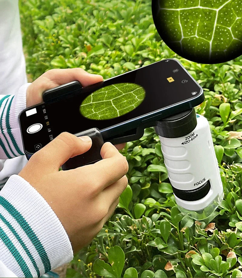 HD Student Science Microscope with Phone Adapter & Wireless LED | STEM Educational Tool for Teens & Home Biology Lab