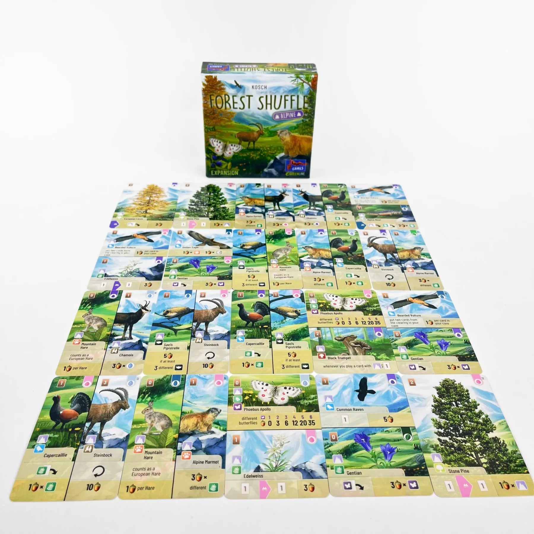 Forest Shuffle Card Game - Strategic Fun for Kids and Adults, 2-5 Players, 60 Minutes of Engaging Play