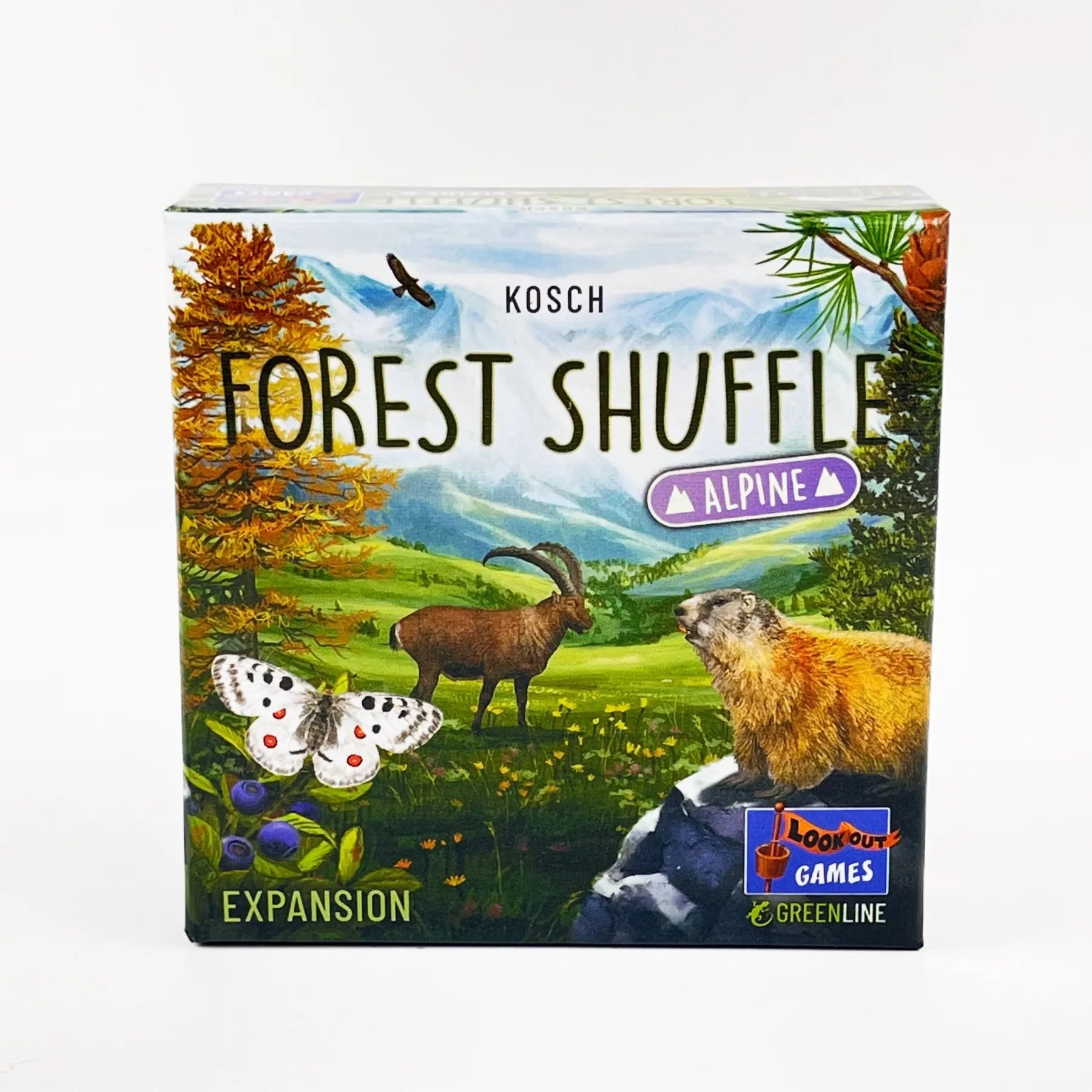 Forest Shuffle Card Game - Strategic Fun for Kids and Adults, 2-5 Players, 60 Minutes of Engaging Play