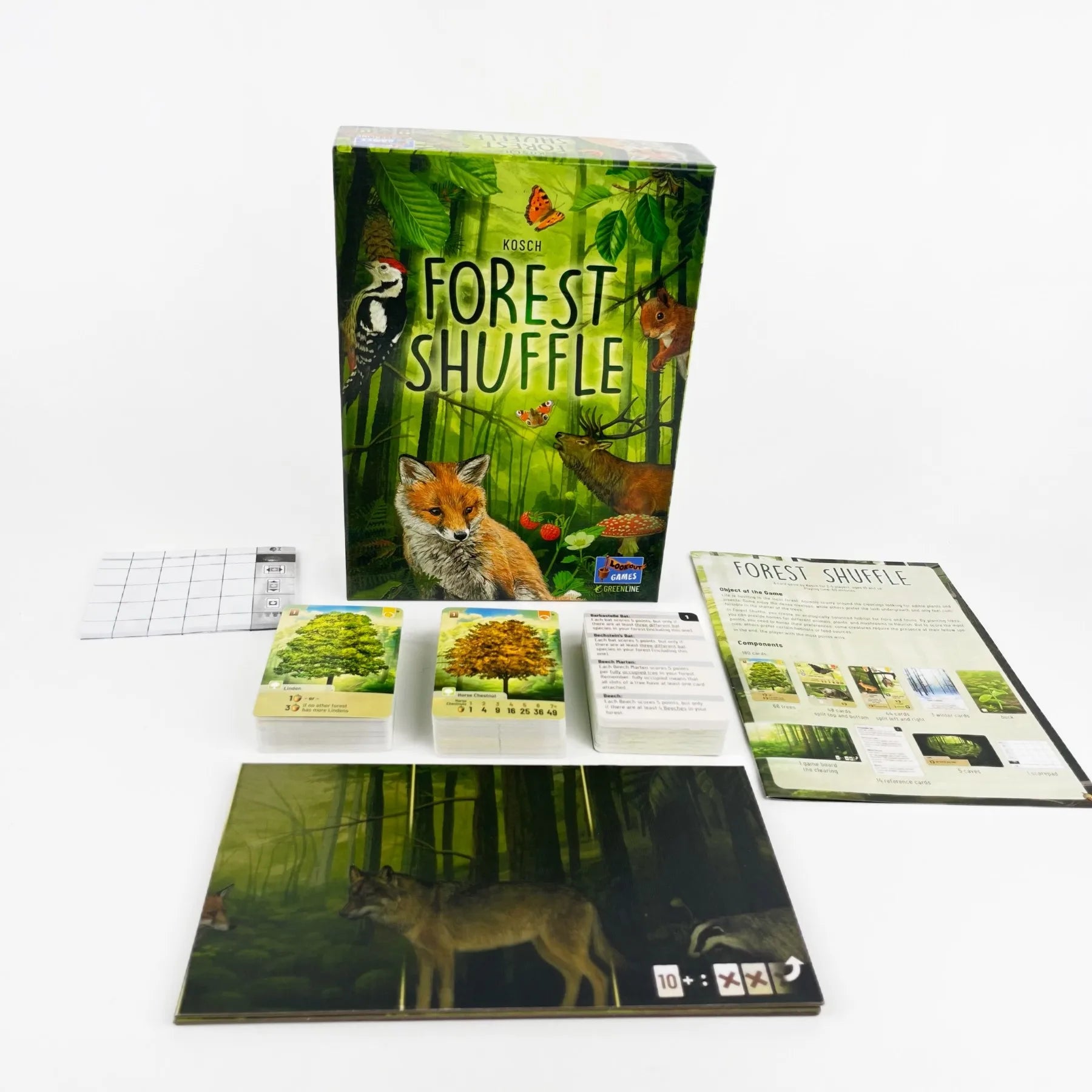 Forest Shuffle Card Game - Strategic Fun for Kids and Adults, 2-5 Players, 60 Minutes of Engaging Play